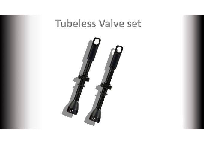 TUBELESS Valve Pack (2 brass valves, 2 valve cores) 60mm